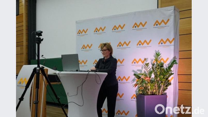 Vizepräsidentin Christiane Hellbach überreichte die „Engagiert“-Preise. Bild: Misch/OTH Amberg-Weiden/exb