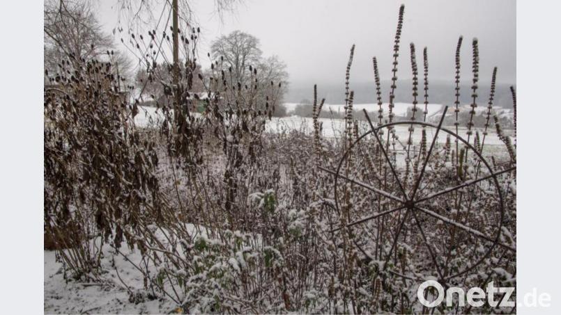 Für einen Gartenbesitzer gibt es immer was zu tun und im Gartenjahr sind jeden Monat unterschiedliche Arbeiten zu erledigen. Der Winter steht für eine Durchschnaufpause, bevor das neue Gartenjahr startet, doch es gibt trotzdem genügend Dinge zu erledigen. Bild: Hans Eiber