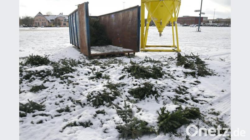 Auf dem Dultplatz in Amberg können Christbäume in diesen Container geworfen werden. Bild: Gerhard Franz