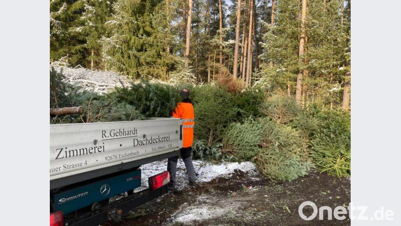 Am alten Schrottplatz konnten die Weihnachtsbäume gelagert werden, bevor sie verbrannt werden. Bild: jma