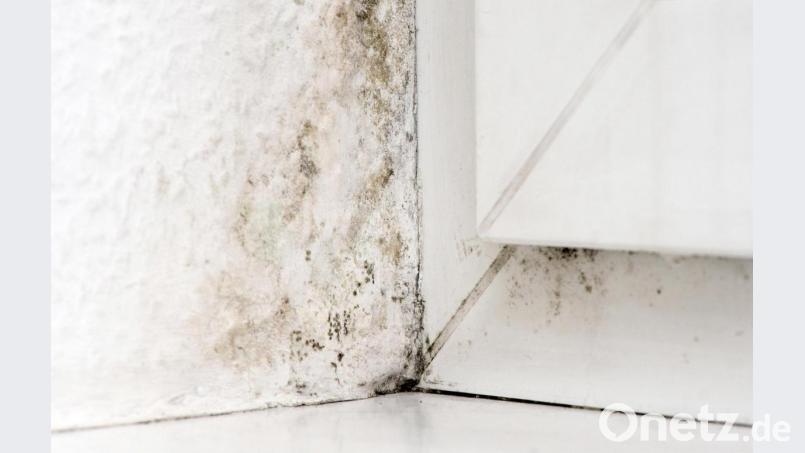 Rund um das Fenster - gerade wenn es in einer Nische eingebaut wurde - droht im Winter Schimmel. Bild: Andrea Warnecke/dpa