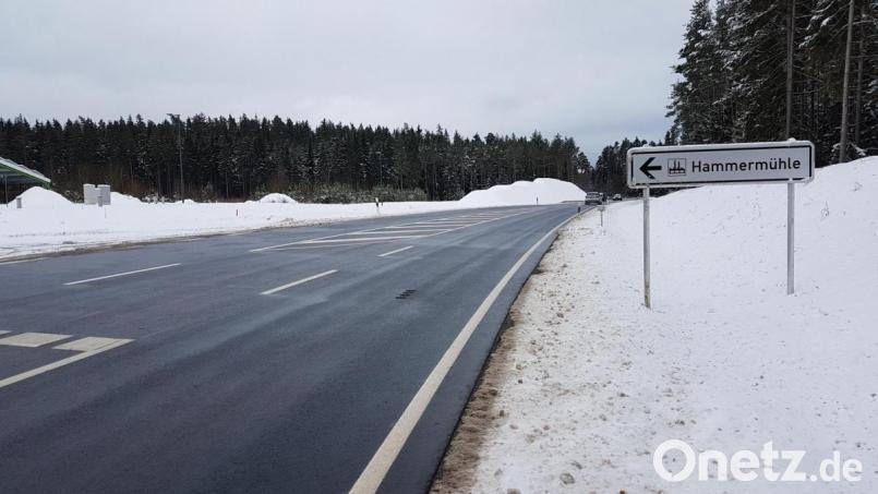 1,7 Millionen Euro kostet 2021 die Erschließung von Teil II des „Gewerbegebietes Hammermühle“ (auf dem Bild das bewaldete hintere Gelände). Bild: gi