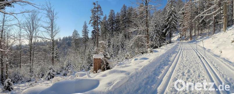 Traumhafte Bedingungen herrschen derzeit im Netz der Steinwaldloipe. In der freien Natur sind dabei die Corona-Regeln für Skilangläufer und Winterwanderer leicht einzuhalten. Bild: bsc