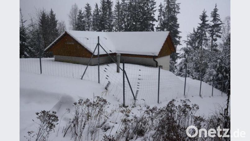 Zum Hochbehälter der Wasserversorgung Miesbrunn werden vom Quellgebiet aus neue Wasserleitungen verlegt, auch im Notfall eine Wasserversorgung des Orts zu gewährleisten. Bild: bey