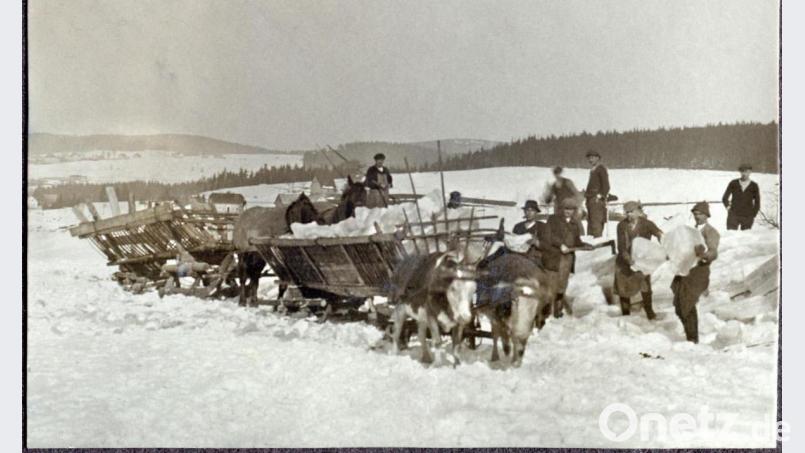 Eissägen war seinerzeit eine knochenharte Arbeit.
Im Hintergrund Fichtelberg und am Horizont Ochsenkopf und Schneeberg ohne Turm. Ochsen- und Pferdegespanne sieht man im Vordergrund. Bild: gis