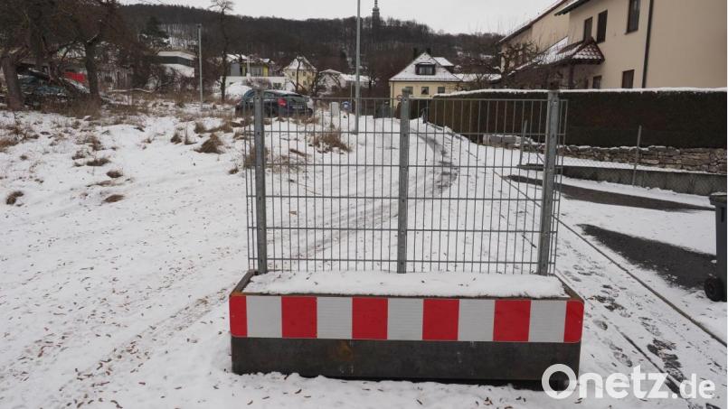 Der Pflanztrog mit Rankgitter ist in der Dostlerstraße seit dem 7. Januar aufgebaut. Er ist eine Voraussetzung dafür, dass die Stadt von den Anwohnern des Ostteils der Straße Erschließungsbeiträge fordern kann. Bild: ref
