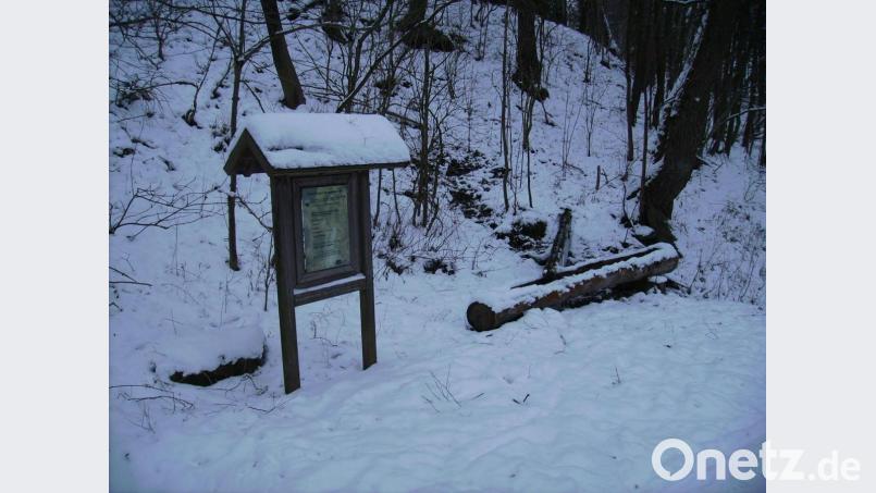 Einst diente die Brunngassquelle bei Altendorf als Trinkwasserquelle, Viehtränke, Waschplatz, Kühlmöglichkeit für Lebensmitel sowie zur Wiesenbewässerung. Seit 1939 ist sie als Naturdenkmal anerkannt. Mit Hilfe eines Landeszuschusses könnte hier eine Kneippanlage entstehen. Bild: bjp