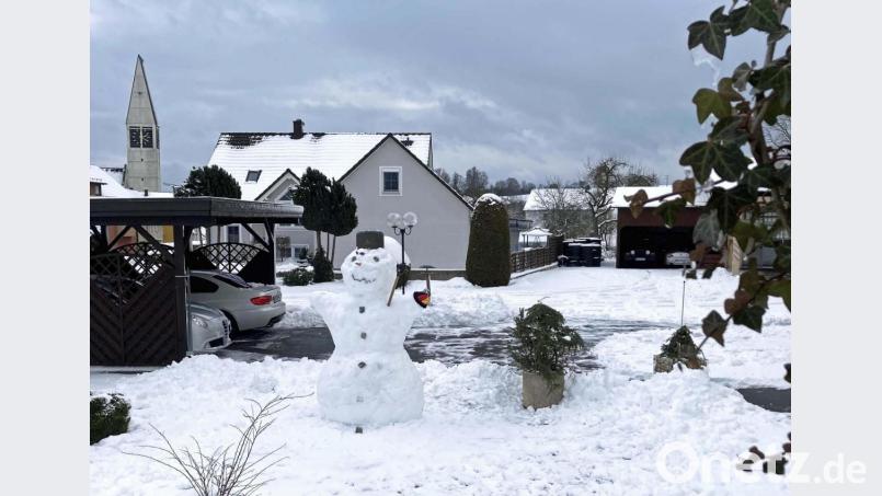 Ein Prachtexemplar von Schneemann. Bild: ü