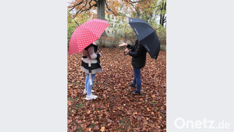 Persönliche Beratungsgespräche finden bei der Caritas-Suchthilfe derzeit bevorzugt bei einem Spaziergang im Freien statt. Bild: Caritas Regensburg