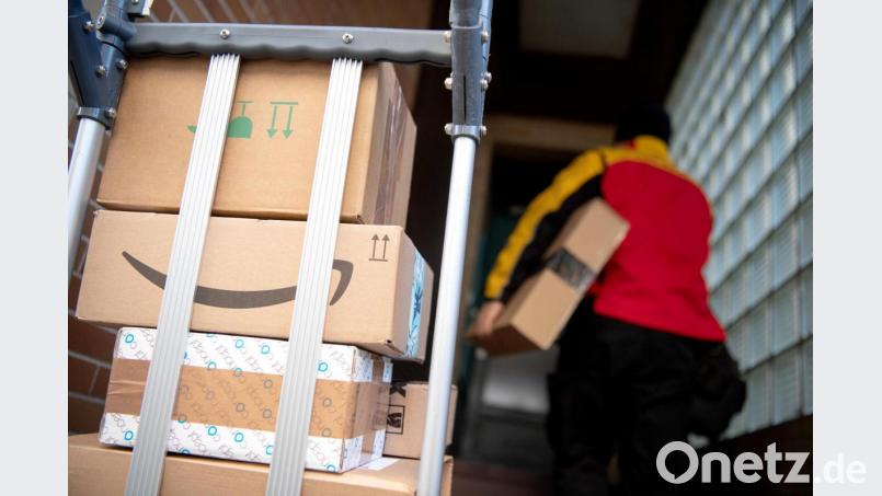 Kratzgeräusche aus einem Paket haben am Samstag eine Paketbotin irritiert. Adressiert war der Karton an ein Speiselokal im Eschenbacher Raum. Symbolbild: Sebastian Gollnow/dpa