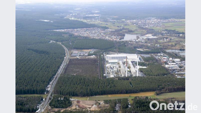 Auf dem gerodeten Areal links neben Pilkington will die BHS Corrugated einen Logistikpark aufbauen. Bild: mür