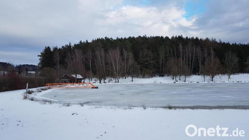 Der Badeweiher bei Tröbes wurde einige Jahre nicht mehr entschlammt. Für die neue Badesaison wird nach Lösungen gesucht, das Badewasser weiterhin sauber zu halten. Bild: gi