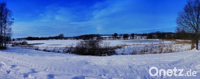 An den Eisersdorfer Weihern ist Roswitha Steiner aus Waldeck gerne unterwegs. Bild: Roswitha Steiner/exb