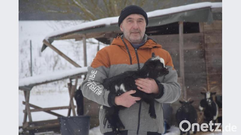 Solch kleinen Lebewesen wie dem Zicklein will Manfred Urban weiter ein schönes Leben im Tierpark Gleitsbachtal ermöglichen. Bild: fz
