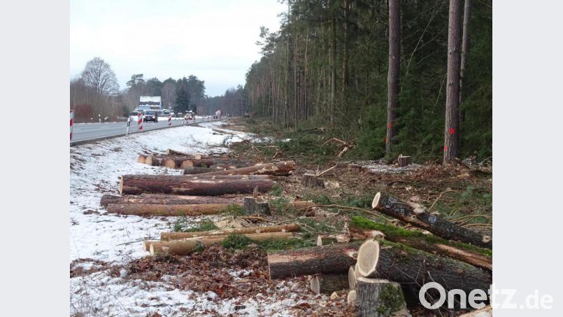 Für den Radweg zwischen dem Freihölser Bahnübergang und der Abzweigung einer nach Högling führenden Kreisstraße ist der Startschuss gefallen. Bild: Houschka