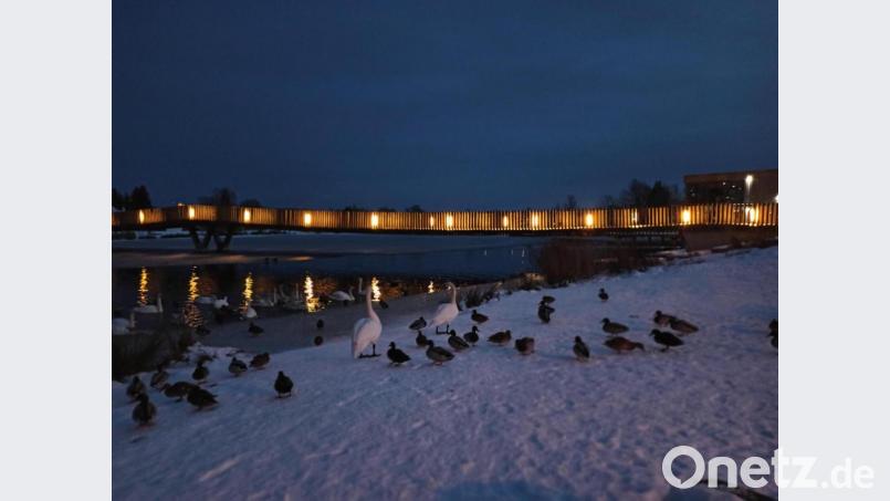 Wunderschöne winterliche Kulisse im Fischhofpark. Bild: kro
