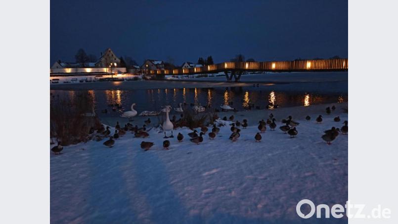 Wunderschöne winterliche Kulisse im Fischhofpark. Bild: kro