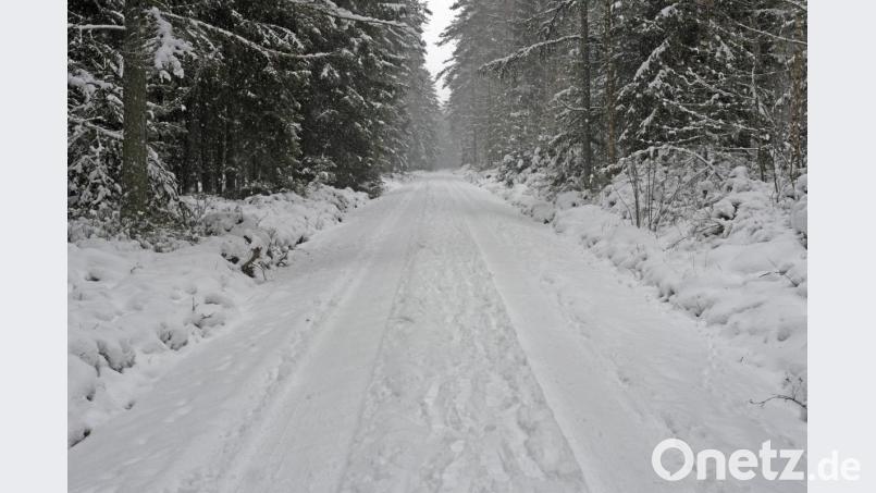 Unter Schnee liegt derzeit der Wald im Weidener Westen. Hier könnte das Gewerbegebiet Weiden-West IV entstehen. Bild: Gabi Schönberger