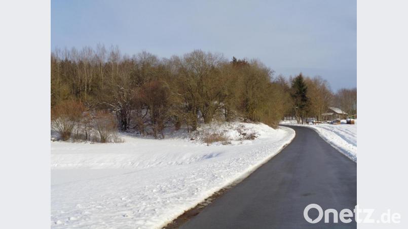 Neben der Straße nach Windhals, links unter den Bäumen und Büschen, befindet sich die ehemalige Mülldeponie . Bild: amö