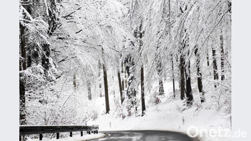 Die Äste tragen schwer auf der Straße zwischen Mitterhöll und B22 Bild: Gabi Schönberger