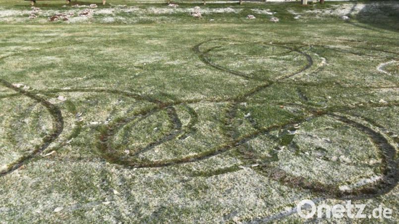 Ein bizarres Muster und einen ramponierten Rasen hinterließ ein Autofahrer vor einigen Wochen auf dem Fußballplatz des SV Wenzenbach. Archivbild: SV Wenzenbach/exb