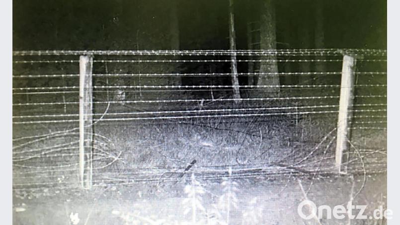 Aus den Akten: Durch dieses Loch im Zaun krabbelte erst Familie Schmidt, dann die Grenzwache. 200 Meter weiter fielen die Schüsse. Bild: ÚSTR