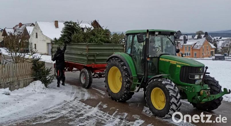 Mit Schwung hinauf auf den Hänger: Die letzten Christbäume sind abgefahren. In Schmidgaden lief die Aktion unter Regie der Jugendfeuerwehr. Bild: Florian Plößl/exb
