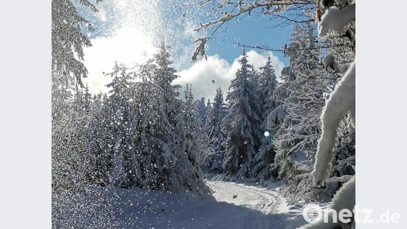 Winterspaziergang auf der Silberhütte. Bild: Werner Hopf/exb
