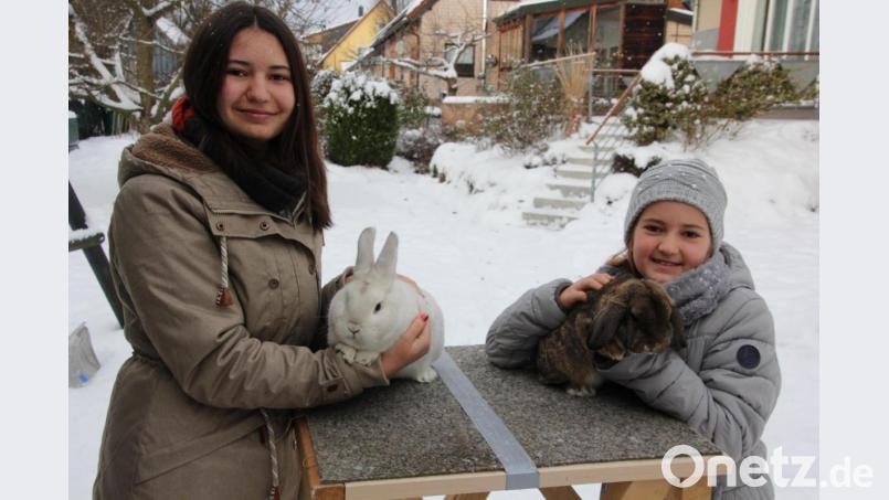Zwei erfolgreiche Kaninchenzüchterinnen aus Konnersreuth: Sophie Zandt (links) zeigt einen „Schwarzgrannen“, Schwester Amelie einen wildfarbenen Widderzwerg. Bild: kro