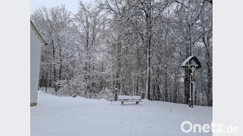 Das Gelände nördlich der der Kirche St. Anna auf dem Annaberg wäre ein möglicher Standort für den Urnenwaldfriedhof. Bild: sne