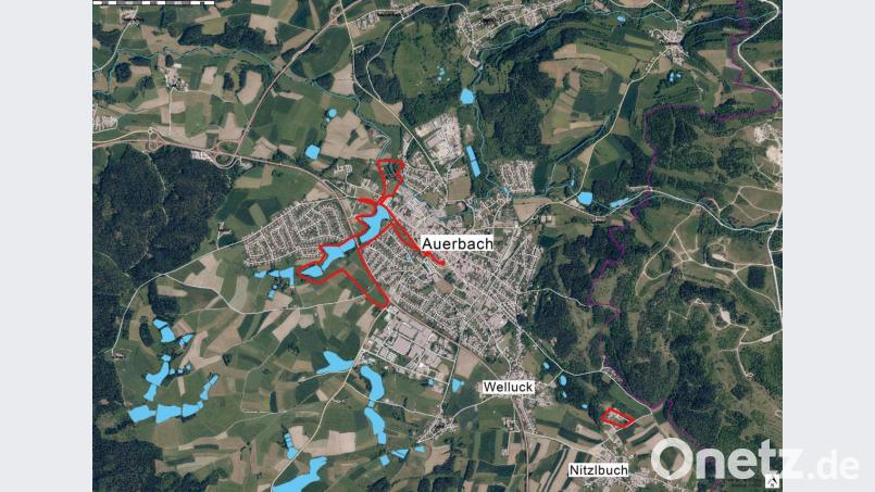 Die rot umrandeten Flächen zeigen die Gebiete, die als mögliche Areale für die Landesgartenschau zunächst einmal ins Auge gefasst werden. Der Schwerpunkt liegt um Stadtpark, Stadtweiher und Herrenweiher, mit größeren Ausbuchtungen nach Norden und entlang der B 85. Grafik: Tina Schwendner/Stadt Auerbach