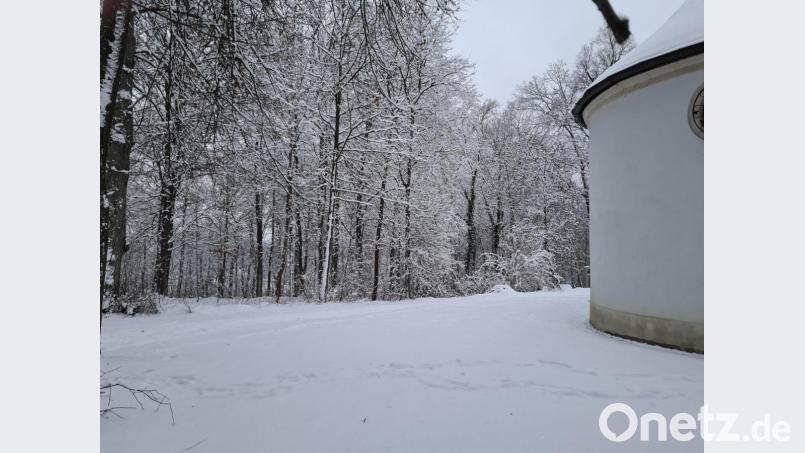 Das Gelände nördlich der der Kirche St. Anna auf dem Annaberg wäre ein möglicher Standort für den Urnenwaldfriedhof. Bild: sne