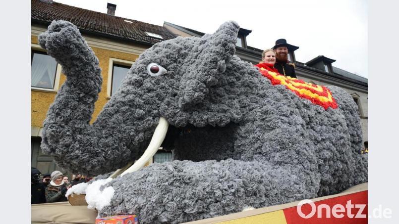 Im Mittelpunkt des Pleysteiner Faschingszugs steht immer Prinzenwagen, gefertigt aus weit über 10.000 gefalteten Papierservietten. Archivbild: bey