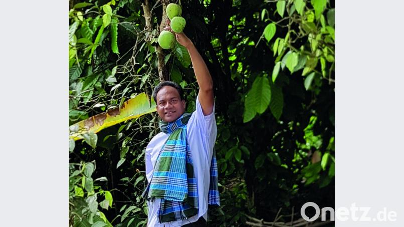 Die Familie des Pfarrers baut exotische Pflanzen, Früchte und Gewürze an. Die Mangos sind fast erntereif. Bild: Verlag Franitza