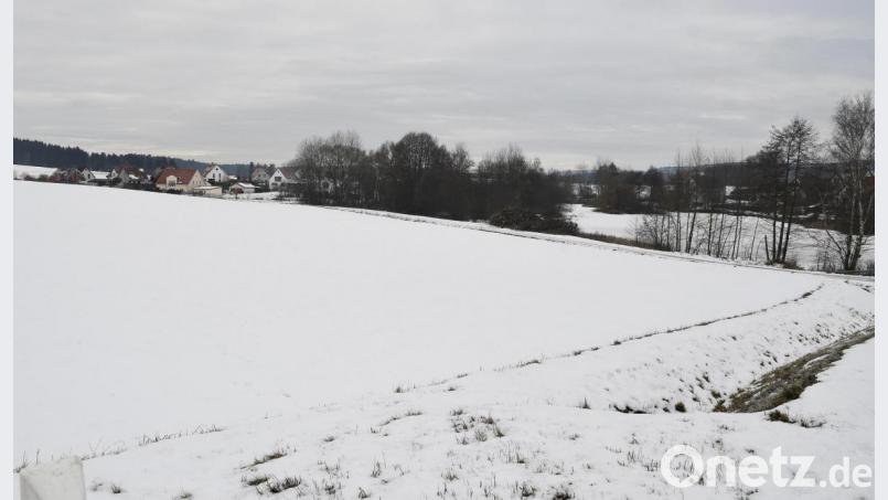 Auf diesem Acker (links) direkt neben dem Postweiher wollen die Stadtwerke eine Freiflächen-Photovoltaikanlage errichten. Die Anwohner sind wenig begeistert. Bild: Petra Hartl