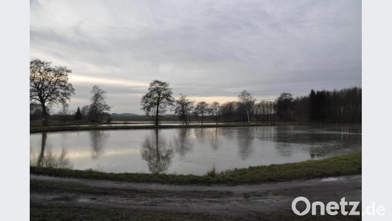 Für die nächsten zehn Jahre hat der Kreisfischereiverein vier Zinster Weiher gepachtet. Vorerst dürfen davon die beiden größeren beangelt werden. Bild: ak