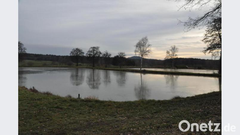 Für die nächsten zehn Jahre hat der Kreisfischereiverein vier Zinster Weiher gepachtet. Vorerst dürfen davon die beiden größeren beangelt werden. Bild: ak