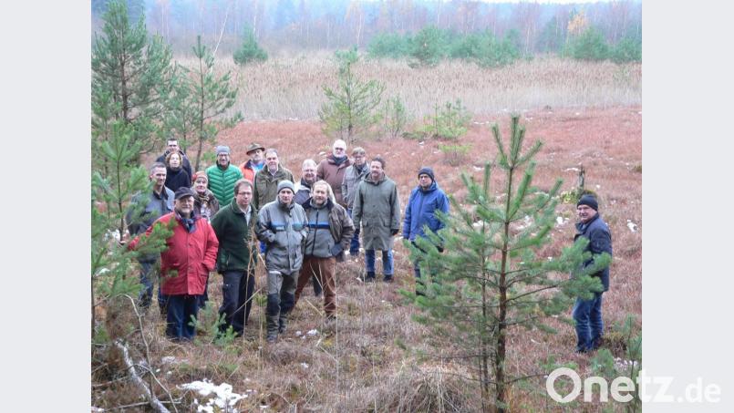 Der Paulusweiher soll als Biotop wiederhergestellt werden. Bei einem Ortstermin verschaffen sich die Stadträte im November 2017 einen Eindruck und lassen sich über das Projekt "Moor-Renaturierung" informieren. Bild: rn