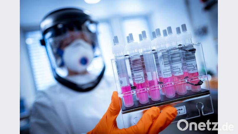 Eine wissenschaftliche Mitarbeiterin hält Coronavirus-Testproben in der Hand: Im Landkreis Tirschenreuth gibt es immer mehr Coronafälle. Bild: Peter Steffen/dpa