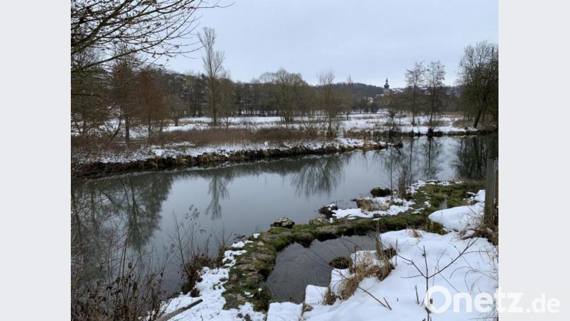 Naturpark Hirschwald Bild: Isabel Lautenschlager