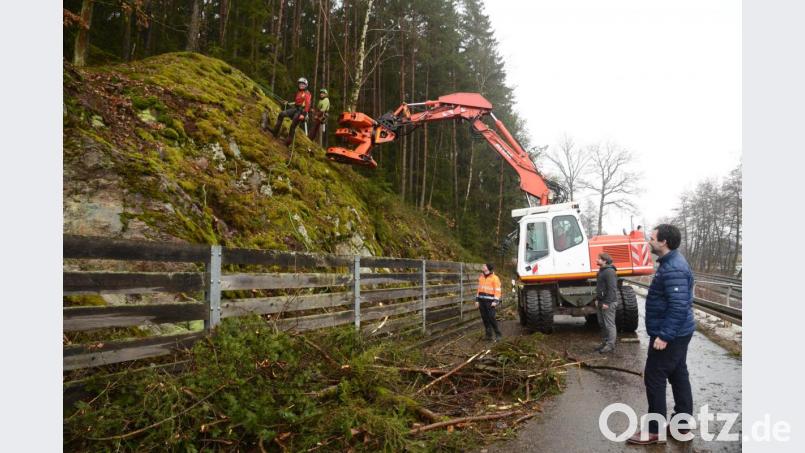 Bürgermeister Sebastian Hartl, Geschäftsleiter Michael Gräf und Bauhofleiter Stephan Glossner (von rechts) beobachten die fast schon waghalsigen Baumfällarbeiten an der Felswand zwischen Luhe am Forst und Grünau. Die Mitarbeiter der Firma Härtl, Mitterteich, erledigen ihre Arbeiten am Seil hängend. Bild: bey