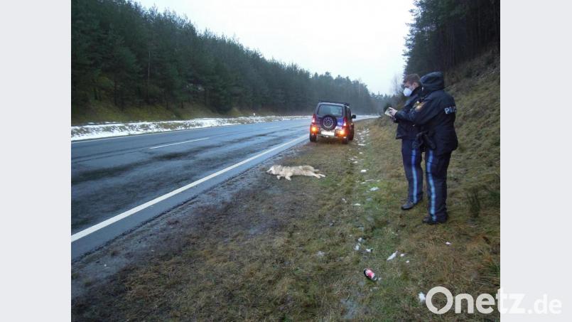 Die Polizei am Unfallort. Innerhalb weniger Tage sind im Bereich Mantel, Hütten, Kaltenbrunn zwei Wölfe nach Autounfällen verendet. Bild: ca