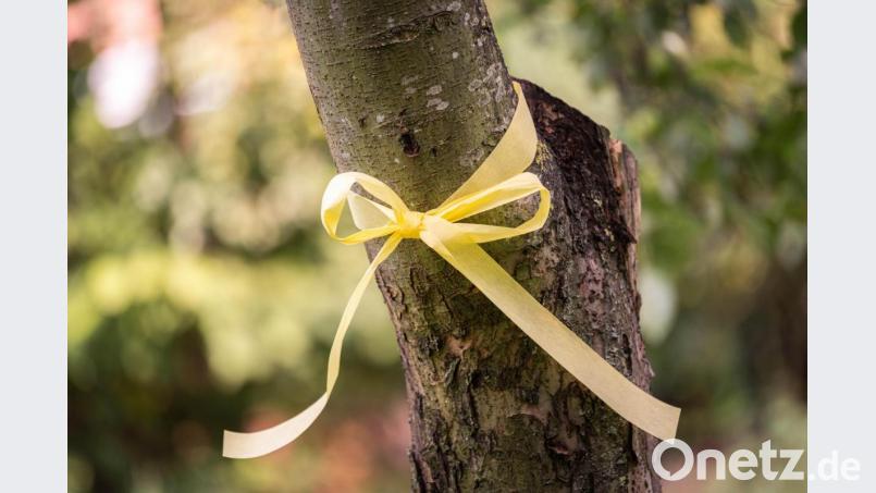 Das „Gelbe Band“ an einem Apfelbaum. Das Band soll nach Willen des Stadtrats auch in Sulzbach-Rosenberg künftig darauf aufmerksam machen, dass das Obst von allen gepflückt und verspeist werden darf. Bild: Mohssen Assanimoghaddam/dpa
