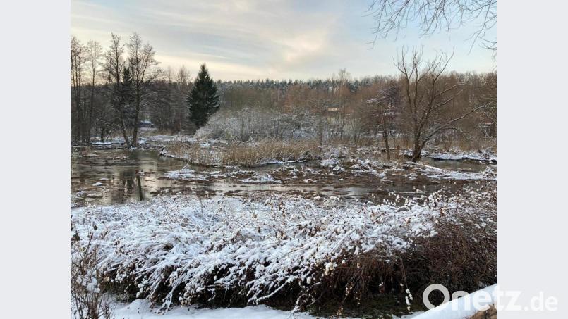Die Thumbachauen zwischen Thumbachstraße und &quot;In der Wehr&quot; in Grafenwöhr. Durch diese Landschaft, die öfter mal überflutet wird - wie hier vergangenes Wochenende -, soll ein Fußgängerüberweg direkt zum angrenzenden neuen Baugebiet am alten Bauhofareal führen. Beides ist noch in Planung. Bild: spi