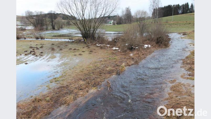 Die kleine Seenlandschaft in Lösselmühle. Bild: pi
