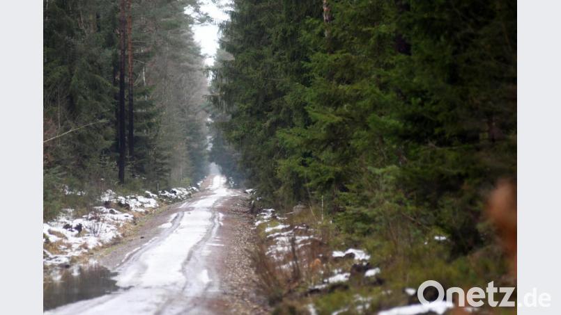 Wohin führt der Weg im Westen der Stadt? Hier soll das neue Gewerbegebiet entstehen. Das IHK-Gremium macht sich für das Projekt stark und appelliert an die Bürger das Für und Wider ernsthaft abzuwägen. Bild: Gabi Schönberger