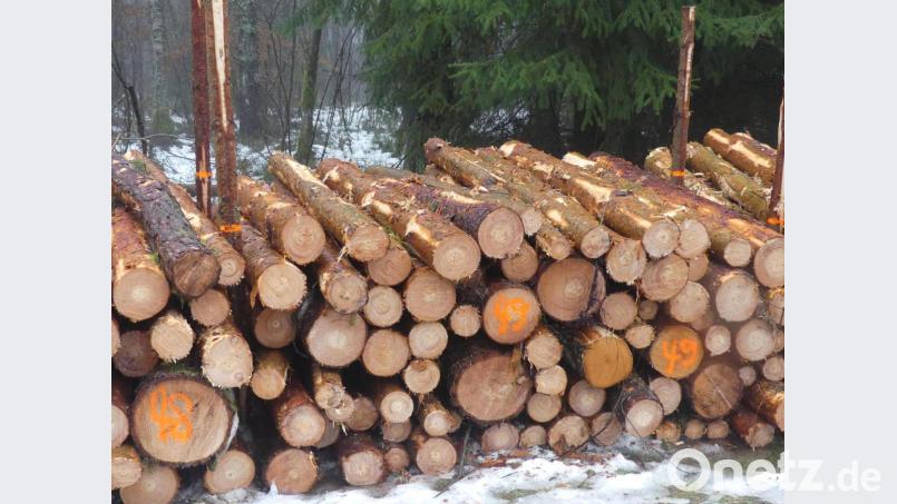 Die Zuteilung der Rechtholzpolter erfolgt durch Nummervergabe Bild: rn