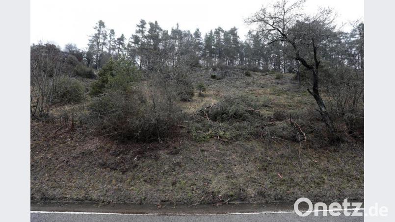 Momentan noch ziemlich grau und auch teilweise sehr zugewachsen: Zwischen Hohenburg und Allersburg sollen die Südhänge entlang der Staatsstraße bald wieder zur &quot;Oberpfälzer Toskana&quot; werden. Das wird ein Ergebnis der Felssicherungen sein. Bild: Wolfgang Steinbacher