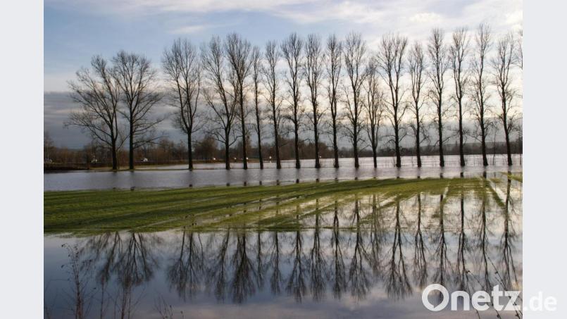 Faszinierende Spiegelungen am 14. Januar 2011 in der &quot;Seenlandschaft&quot; in Weiden-Süd. Links die Fahrzeuge auf der Südost-Tangente, die plötzlich als Deich wahrgenommen wird. Bild: Alois Schröpf