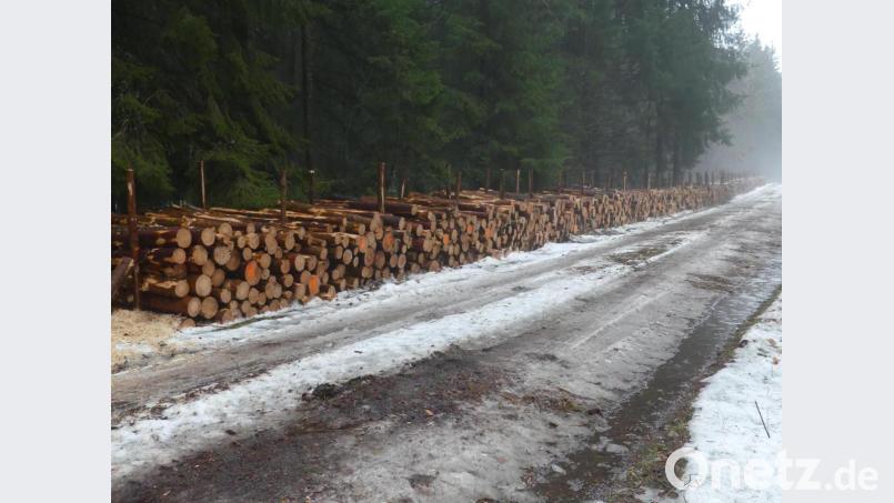 In langen Reihen wird das Rechtholz 2021 bereitgestellt. Bild: rn